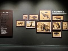-大庆市博物馆
