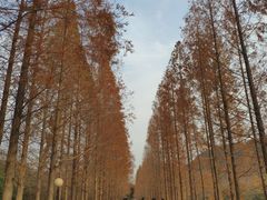 -黄河小浪底水利枢纽风景区