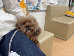 -宠颐生中康贝怡动物医院