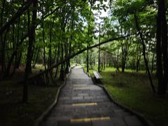 -六鼎山文化旅游区
