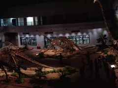 -自贡恐龙博物馆