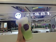 -一只酸奶牛(汕头金平万达广场店)