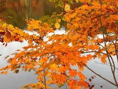 -本溪老边沟风景区