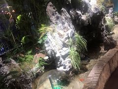 -9527星耀烧烤音乐酒馆