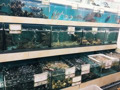 水产区-秋姐美食店(旅游大道店)