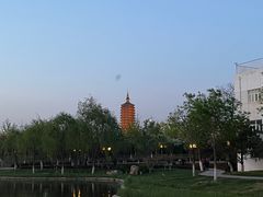 -西海子公园