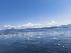 -洱海月湿地公园