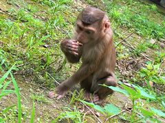 -哈尔滨北方森林动物园