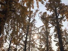 -两江幸福广场