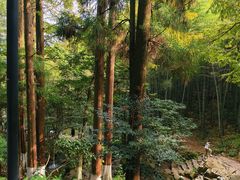 -莫干山风景区