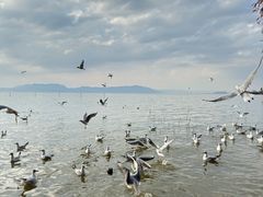 -捞渔河湿地公园