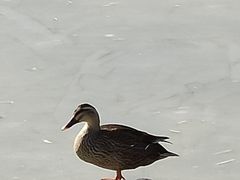 -西安浐灞国家湿地公园