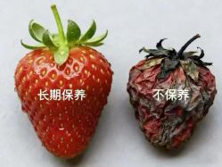 -克丽缇娜