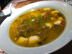 -猫头婴小酒馆FUN OWL(1912店)
