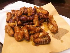 -锦顺海鲜•口味菜(李村店)