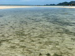 -查汶海滩