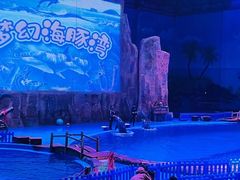 -华夏文旅海洋公园