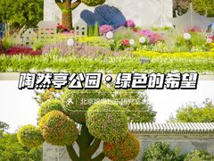 -颐和园