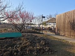 -乌村
