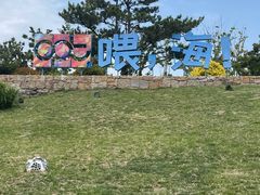 -威海国际海水浴场旅游区