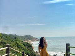 -广东惠东海龟国家级自然保护区