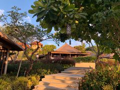 -Rock Bar Bali(Bali)