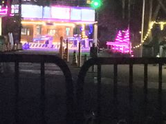 -枫花园汽车电影院(朝阳公园店)