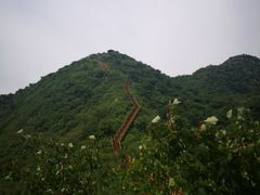 -大岭沟猕猴桃谷风景区