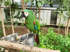 -南宫五洲植物乐园