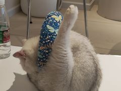 -怪兽屋·羊驼·猫咖·狗咖(俊华广场店)