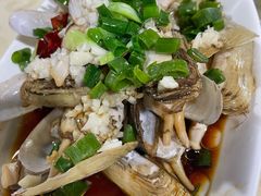 葱爆蛏子-凤嫂农家乐(梁弄店)