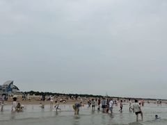 -日照海滨国家森林公园