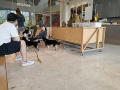 -SAANCI山池咖啡(海上世界文化艺术中心店)