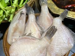 -大风老火锅(江北一店)