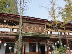 -青城甲(青城山店)