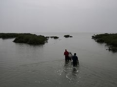 -北海金海湾红树林生态旅游区