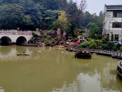 -九华山聚龙大酒店