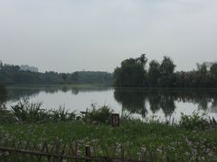 -白鹭湾湿地公园