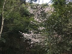 -太湖源风景区