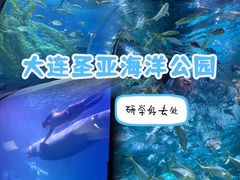 -大连圣亚海洋世界