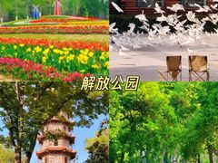 -大圣甲(汉口店)