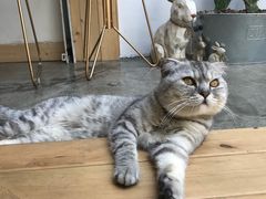 -拾壹cafe·工作室