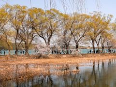 -颐和园