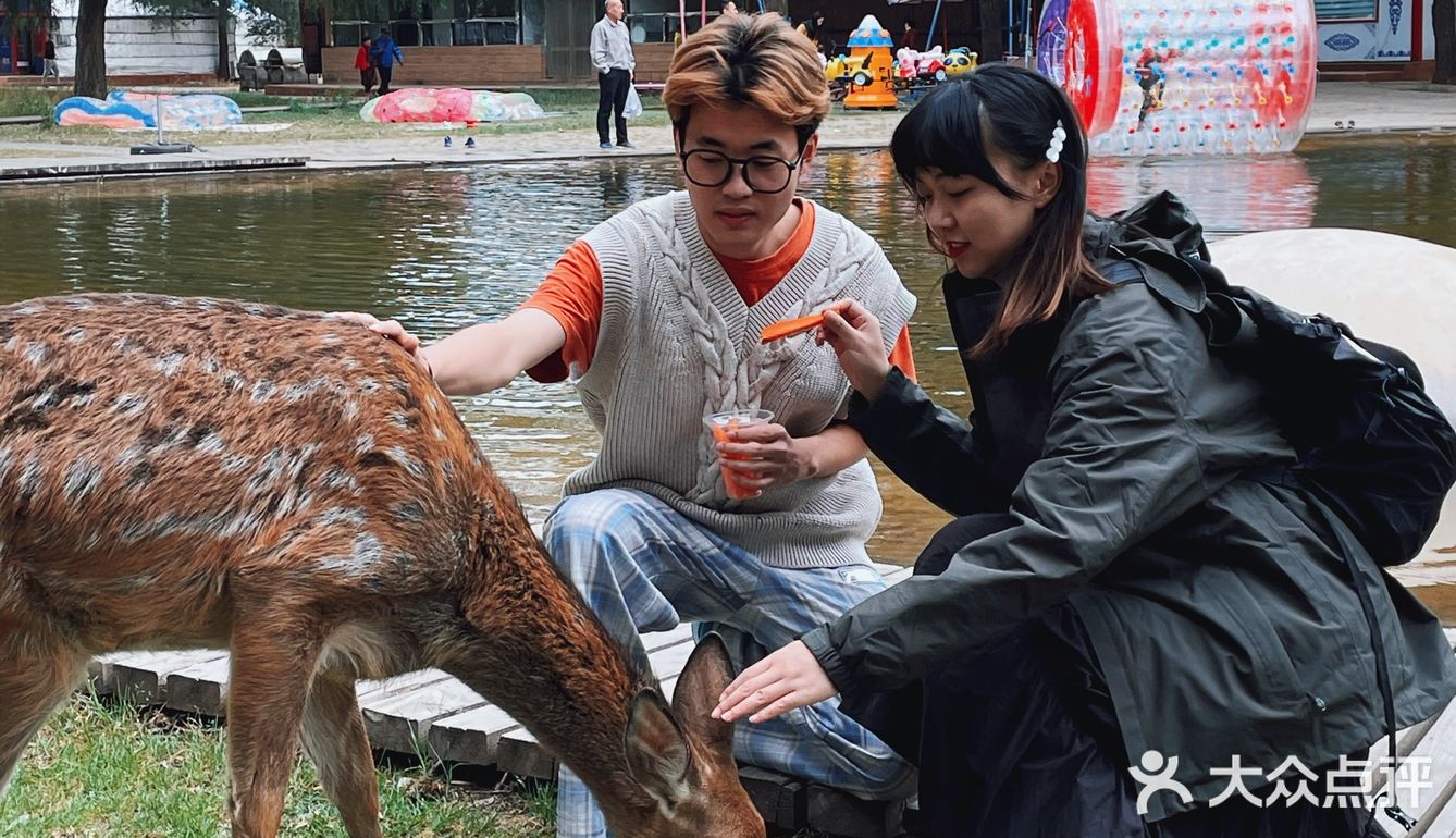 国内小众旅行|包头·赛汗塔拉城中草原🎪