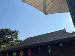 -西双版纳原始森林公园