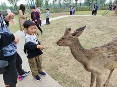 -祥源·阜阳生态乐园