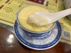 招牌姜撞奶-捷信牛奶甜品世家(五道口店)