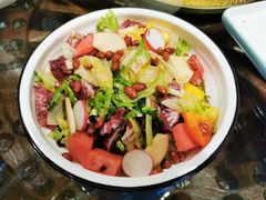 大拌菜-蒙古大营(朝阳公园店)