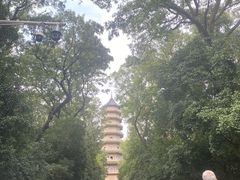 -灵谷景区