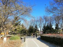 -康庄公园